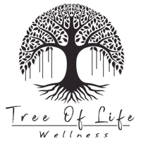 Chiropractic Carrollwood FL Tree of Life Wellness